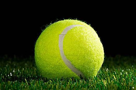 僅是一個榮 僅是一個榮