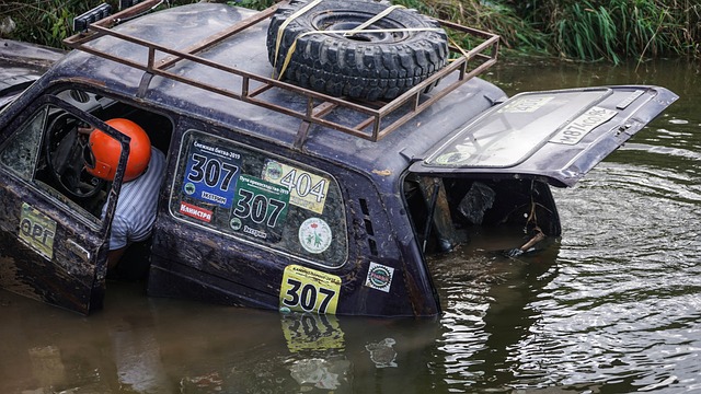 年轻力量崛 年轻力量崛