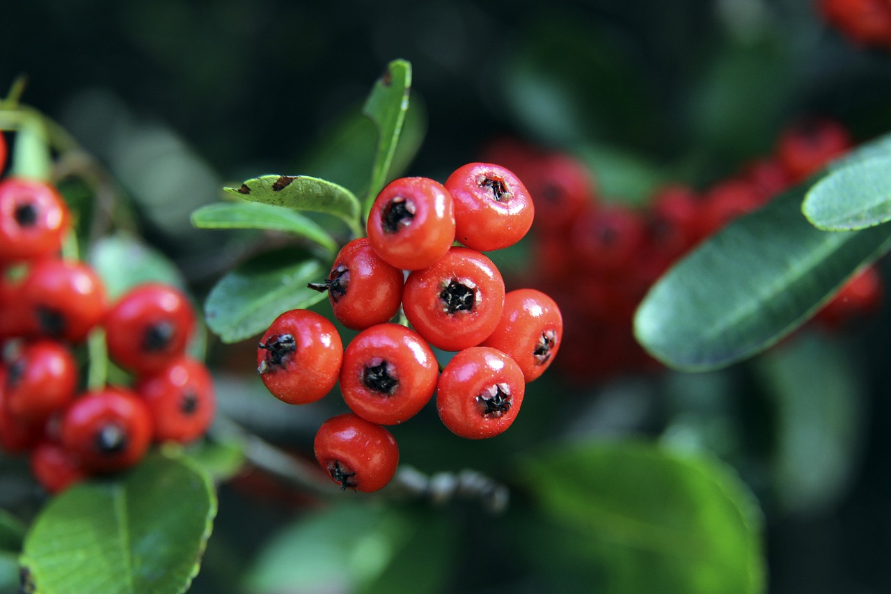 车迷们带来 车迷们带来