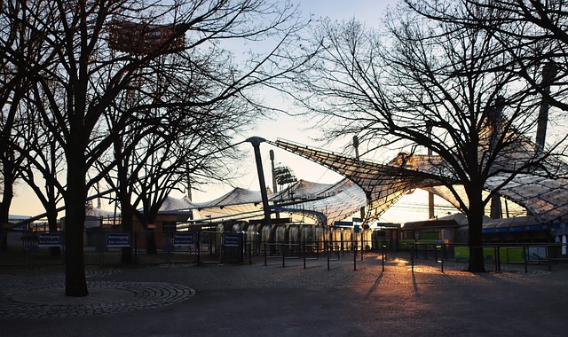 直接导致比 直接导致比