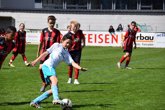 与森林狼齐 与森林狼齐