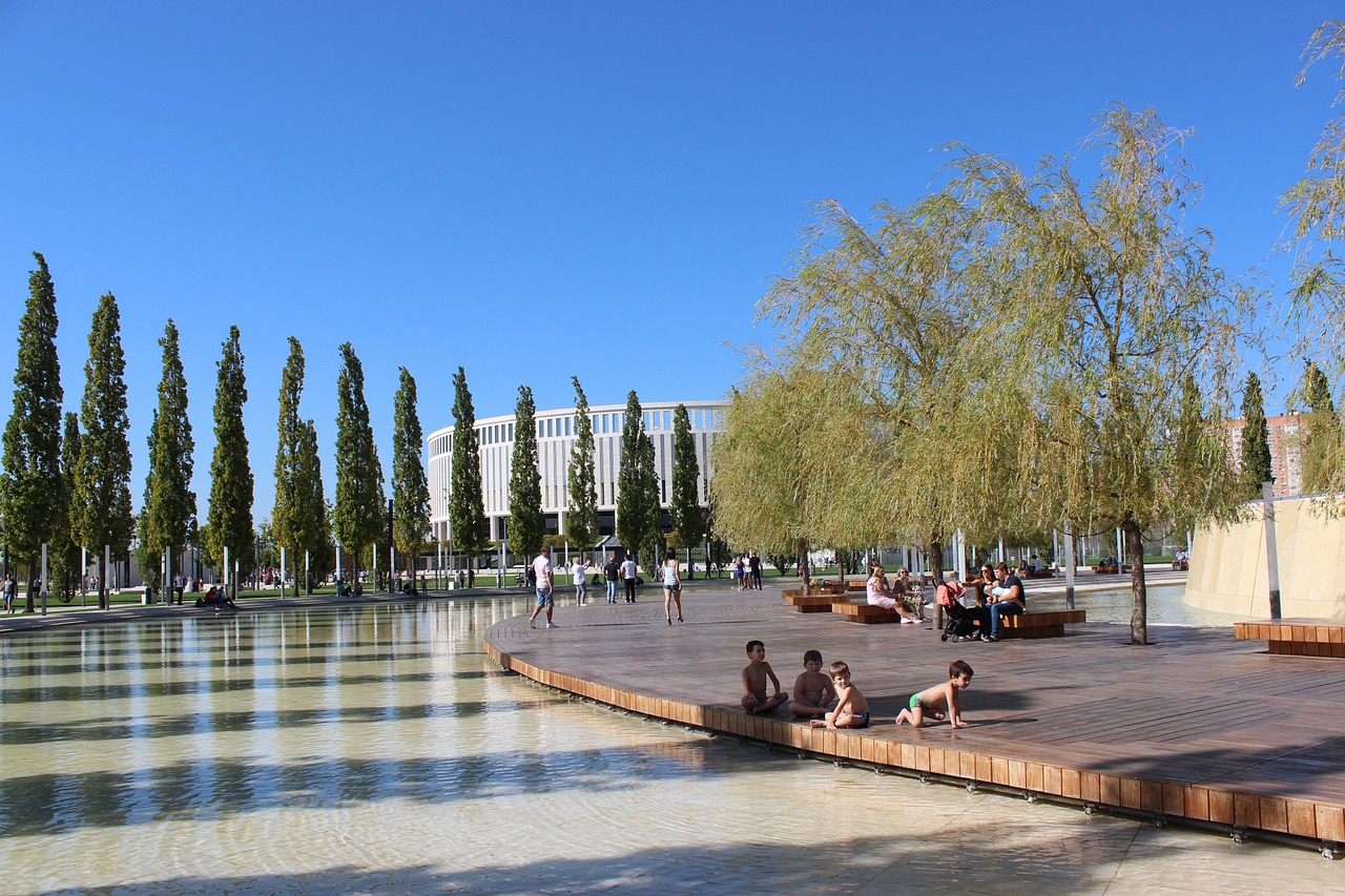 比达尔的失 比达尔的失